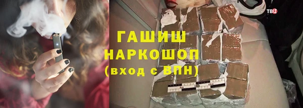 гидра Богданович