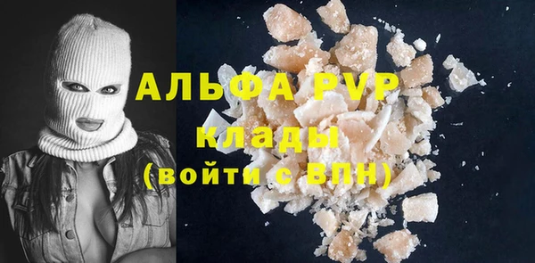 гидра Богданович