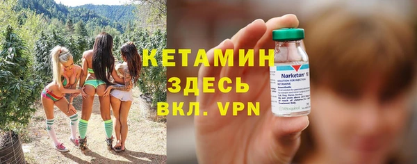гидра Богданович